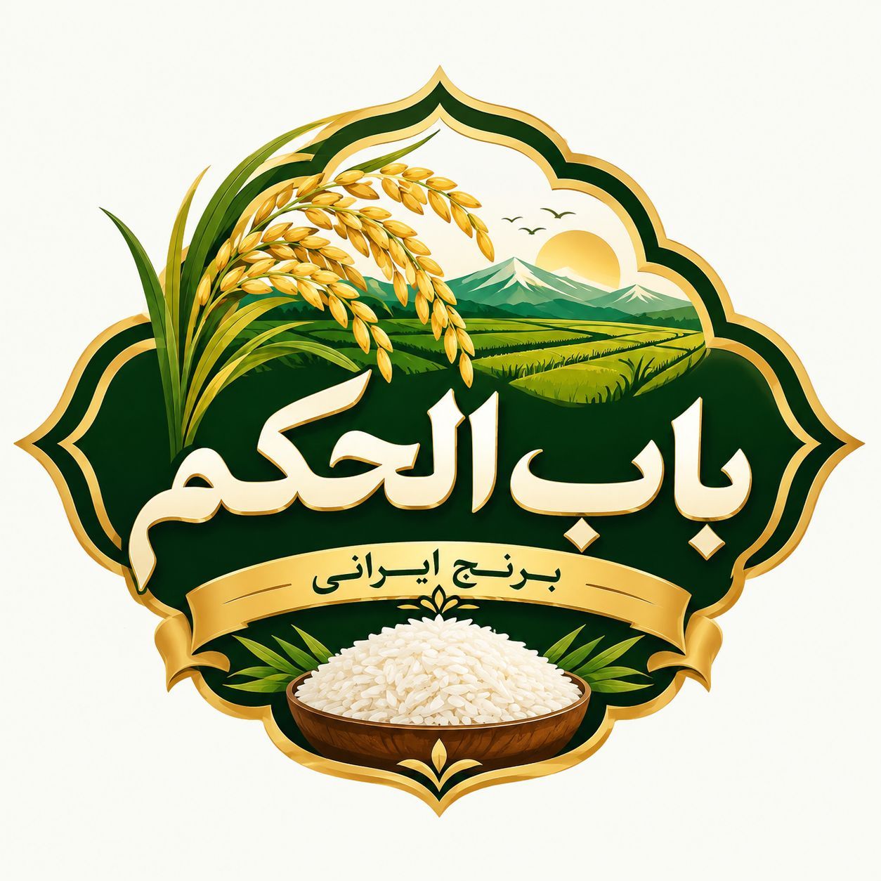 صفحه اصلی