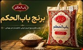 باب الحکم
